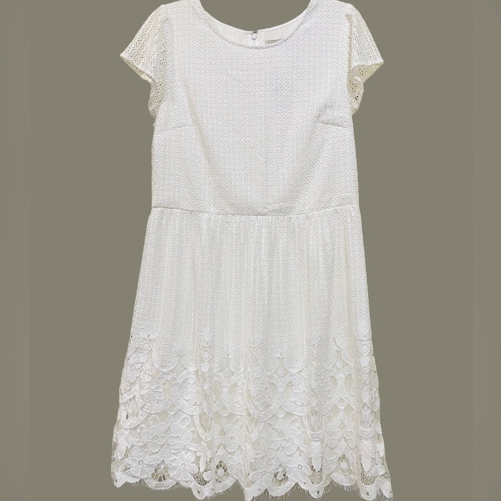 Loft White lace dress Size 12 NWT